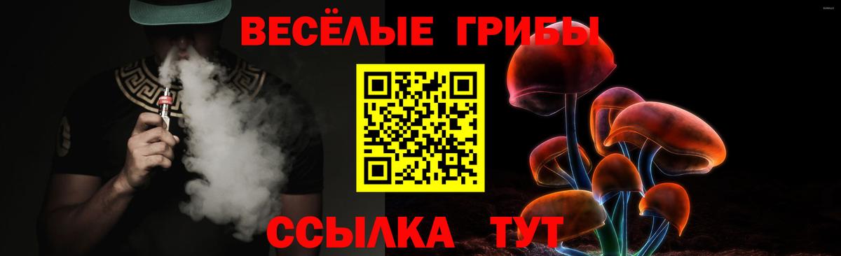 Галлюциногенные грибы прущие грибы Вышний Волочёк